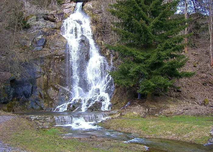 Koenigshof Apartment *